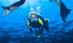 Suspendisse arcu nisl